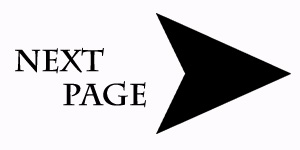 HN Next Page